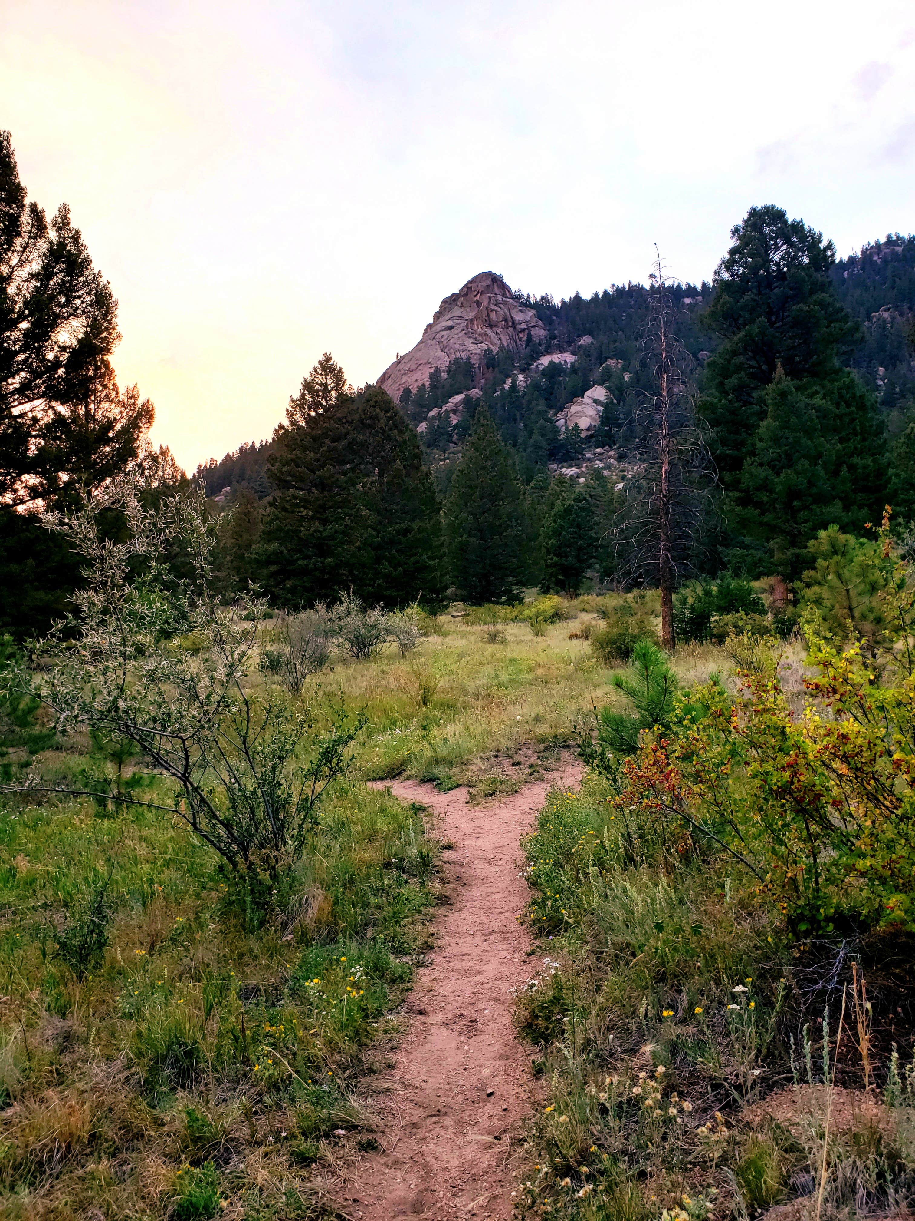 Camper submitted image from Kelsey Campground - 4