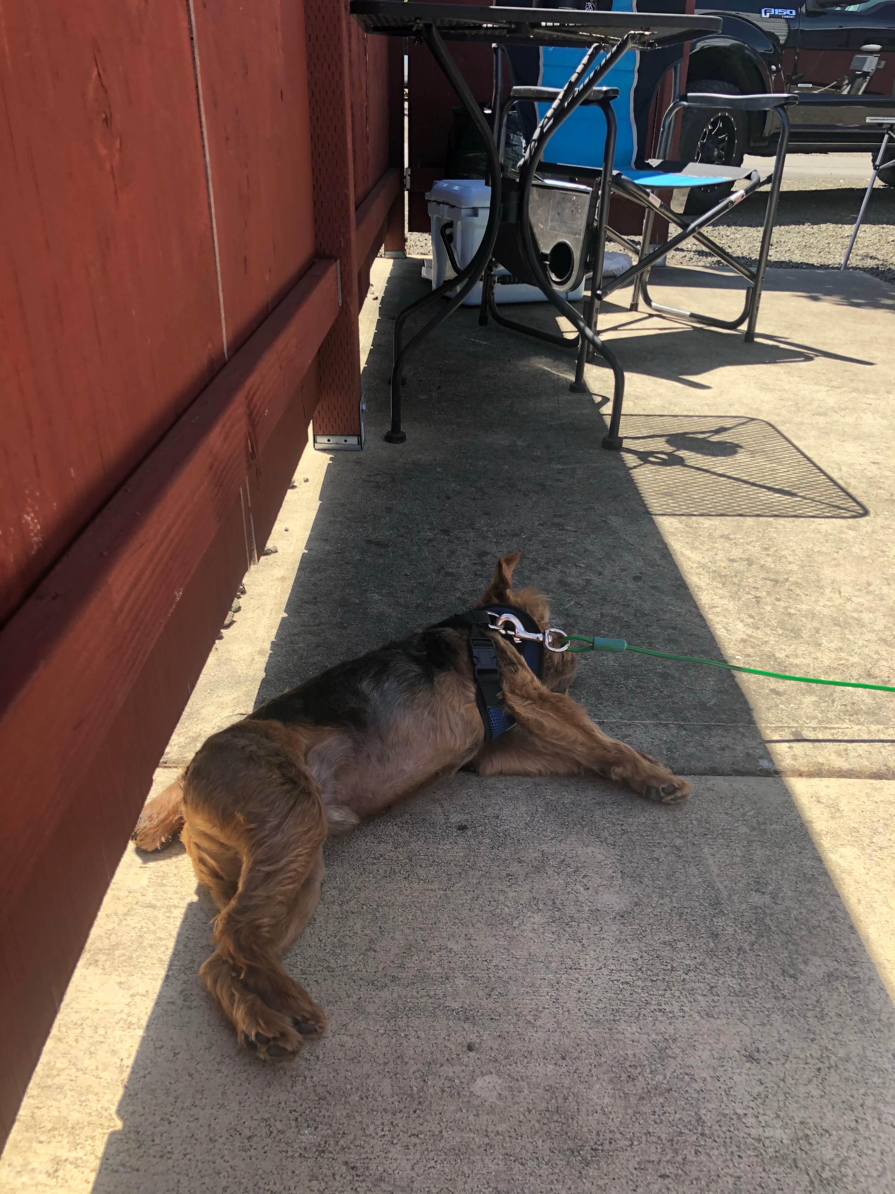 Camping near Umpqua Riverfront RV Park and Boat Ramp: Hi-Way Haven RV Park, Sutherlin, Oregon