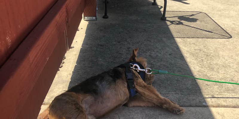 Camper submitted image from Hi-Way Haven RV Park