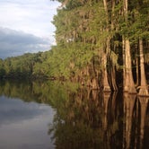 Review photo of Caddo Lake State Park Campground by Troy W., May 5, 2018