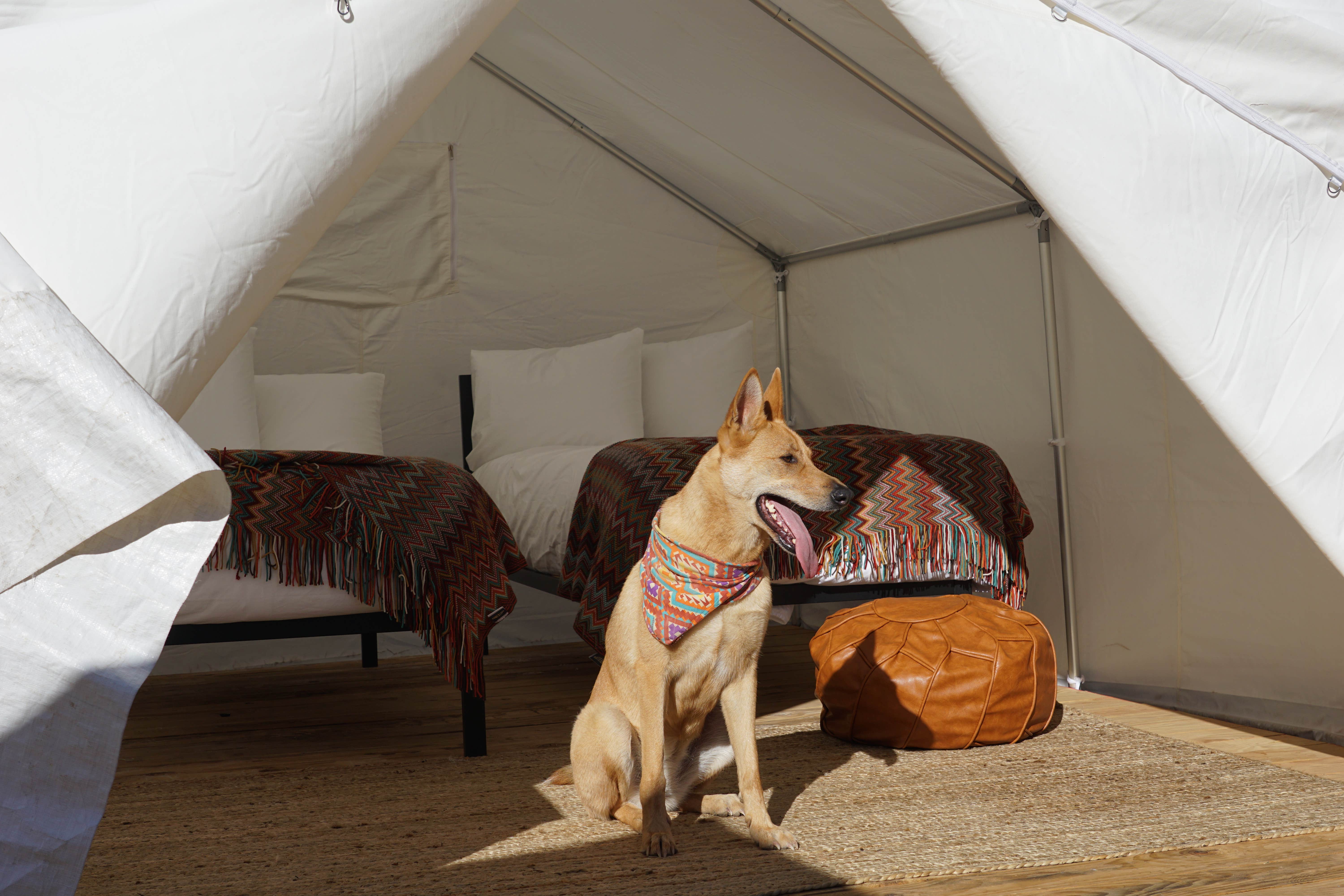 Camping near Horse Meadow Campground: SoCal Out Campground, Kernville, California