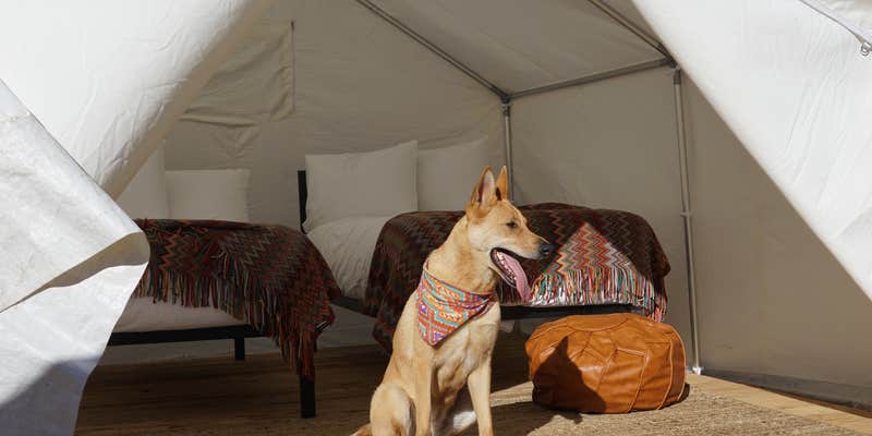 Camper submitted image from SoCal Out Campground