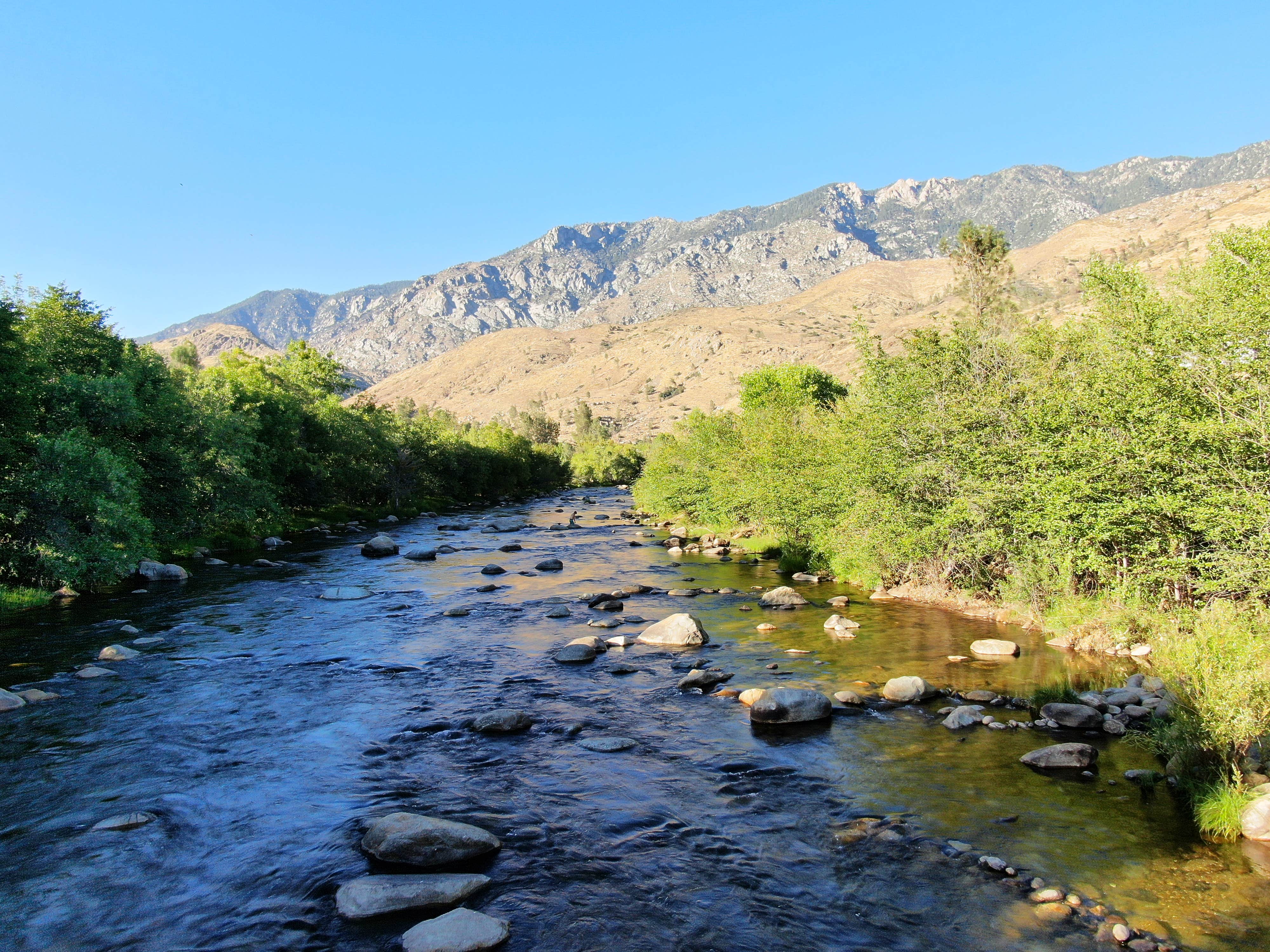 Camper submitted image from SoCal Out Campground - 3