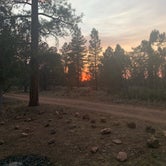 Review photo of Forest Service Road 328 Dispersed by Wally B., August 21, 2020