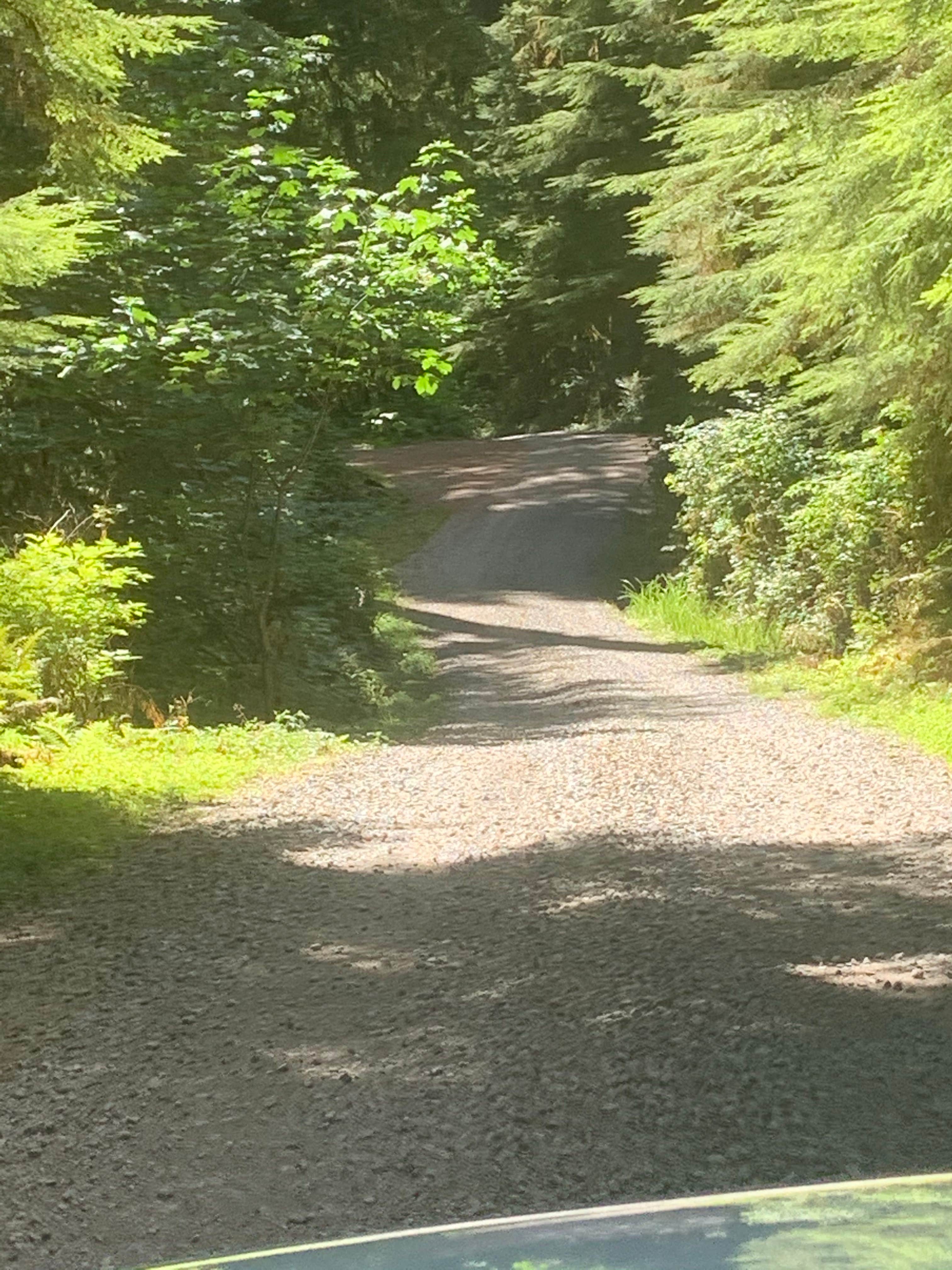Camper submitted image from Upper Clearwater - 2