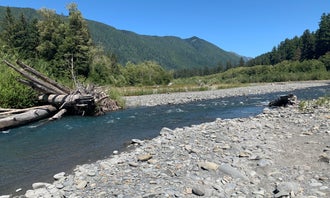 Hoh Campground - Olympic National Park