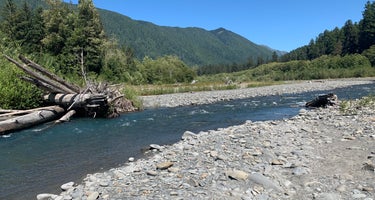 Hoh Campground - Olympic National Park