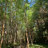 Review photo of Hoh Campground — Olympic National Park by Johnathan I., August 21, 2020