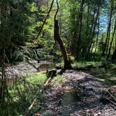 Review photo of Hoh Campground — Olympic National Park by Johnathan I., August 21, 2020