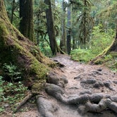 Review photo of Hoh Campground - Olympic National Park by Johnathan I., August 21, 2020