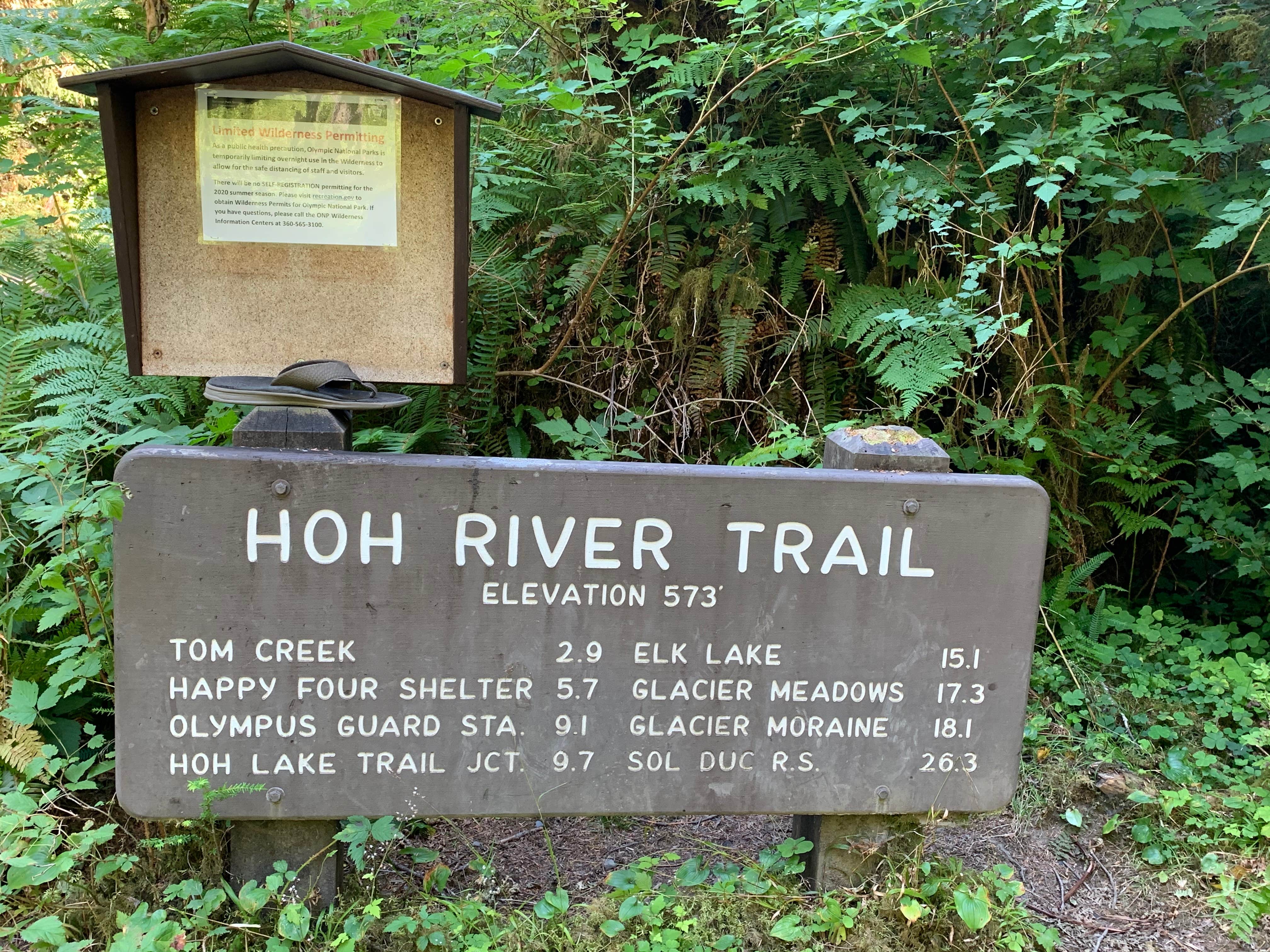 Camper submitted image from Hoh Campground — Olympic National Park - 5