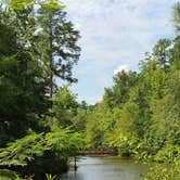 Review photo of Beaver Dam Campground by Cat R., August 21, 2020