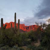 Review photo of Lost Dutchman State Park Campground by Annell N., August 21, 2020