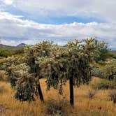 Review photo of Lost Dutchman State Park Campground by Annell N., August 21, 2020
