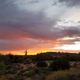 Review photo of Lost Dutchman State Park Campground by Annell N., August 21, 2020