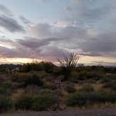 Review photo of Lost Dutchman State Park Campground by Annell N., August 21, 2020