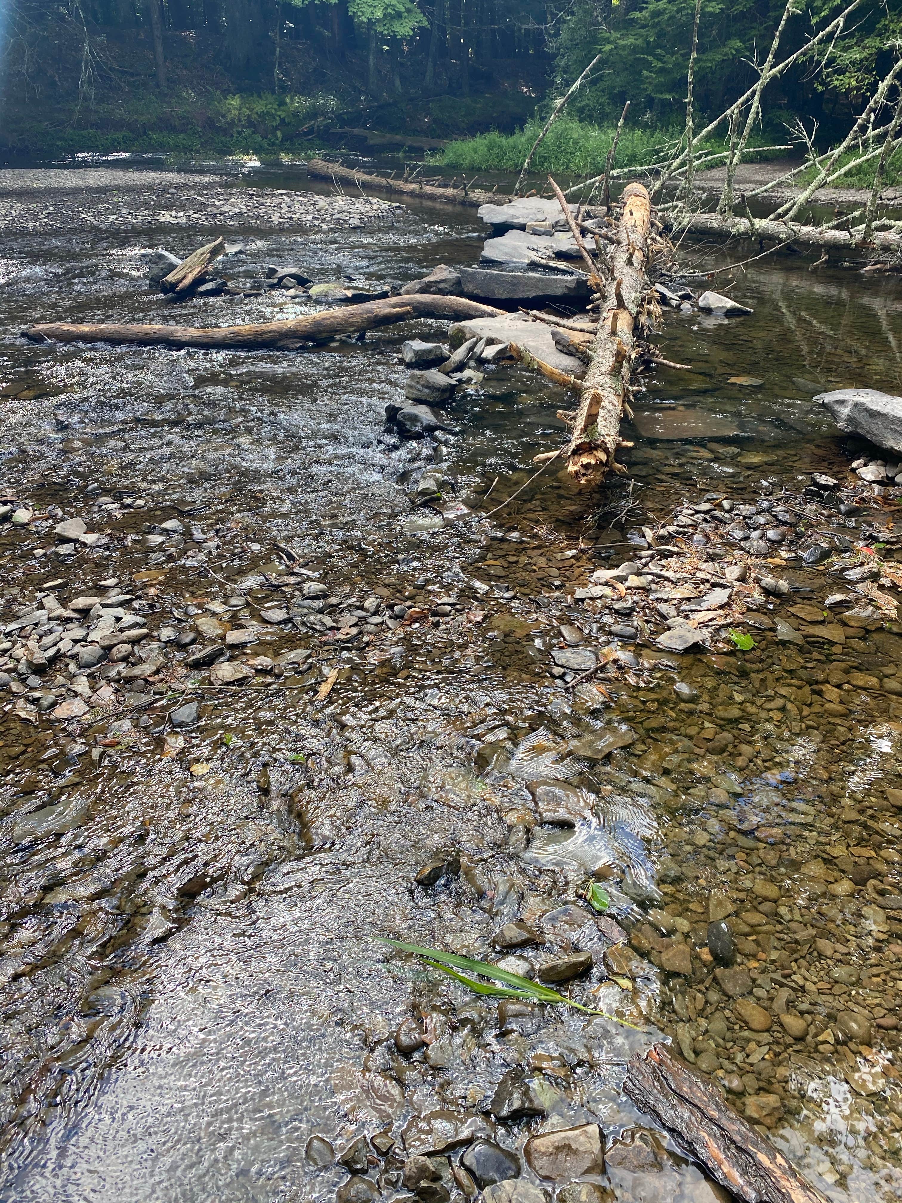 Camper-submitted photo at Rip Van Winkle Campgrounds near Ulster Park, NY