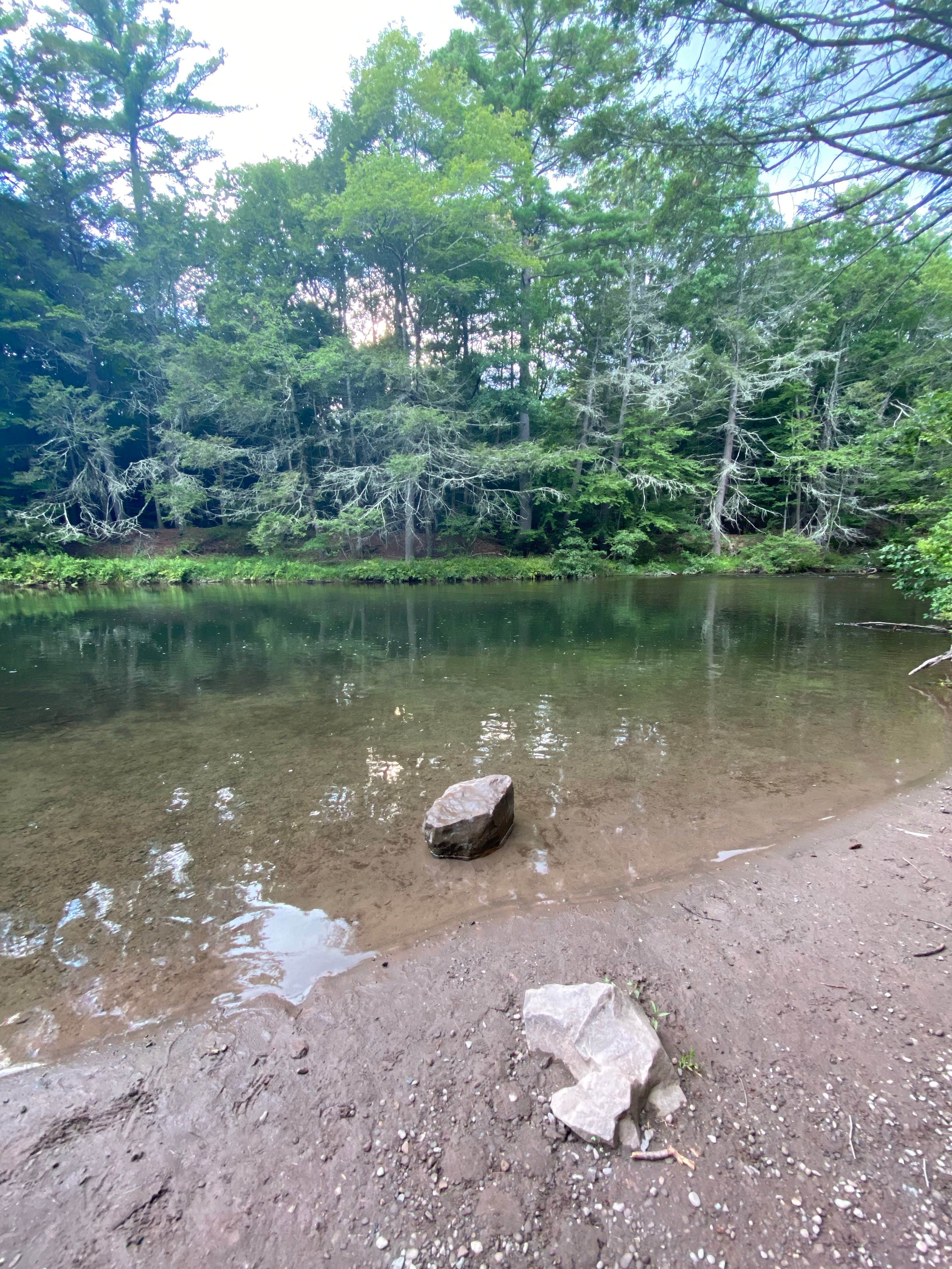 Camper-submitted photo at Rip Van Winkle Campgrounds near Ulster Park, NY