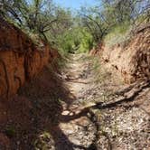 Review photo of Dead Horse Ranch State Park Campground by Annell N., August 21, 2020