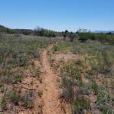 Review photo of Dead Horse Ranch State Park Campground by Annell N., August 21, 2020