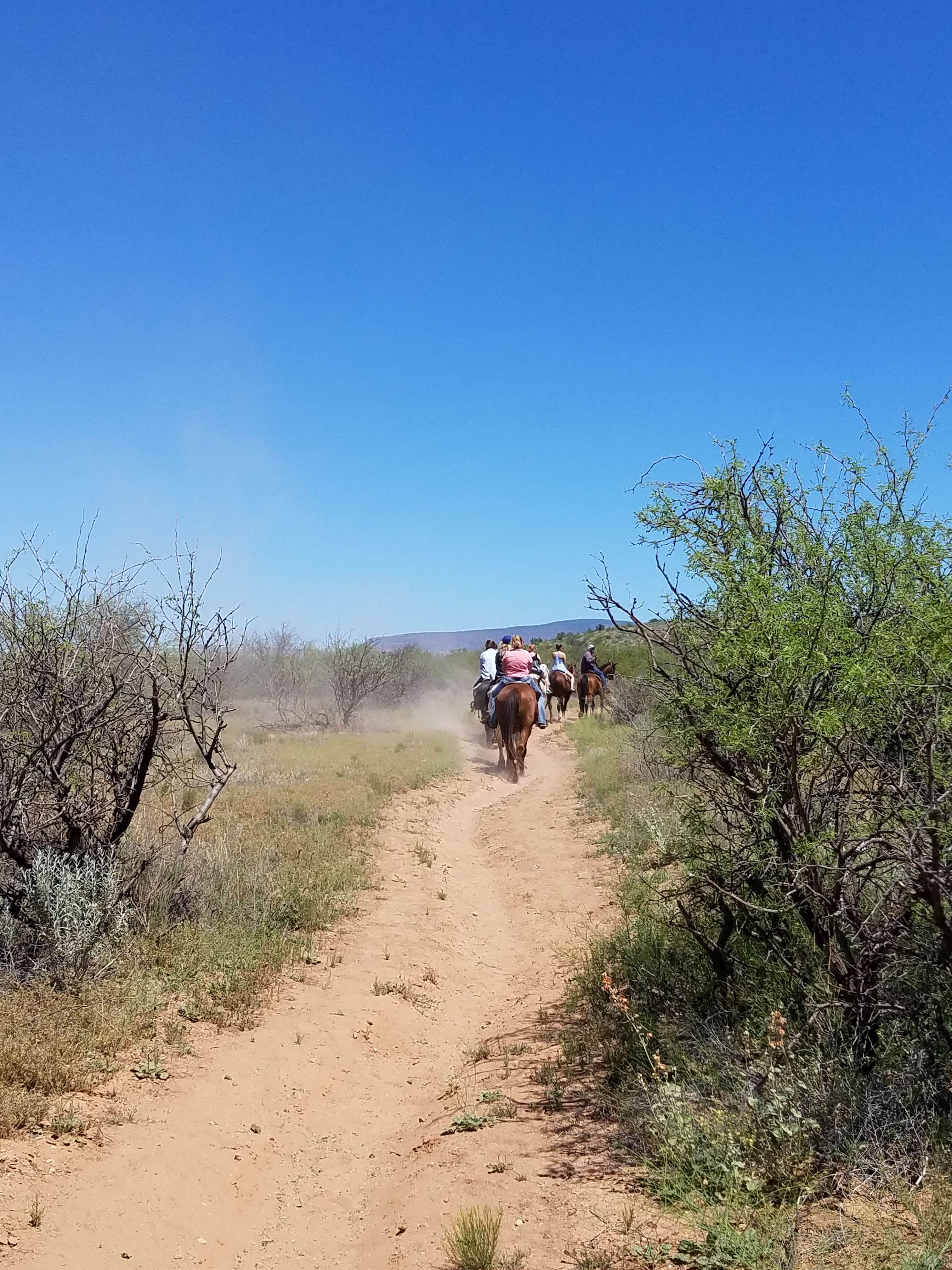 Annell N.'s photo of camping with a horse at Dead Horse Ranch State Park Campground near Cottonwood, AZ