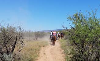 Annell N.'s photo of camping with a horse at Dead Horse Ranch State Park Campground in Arizona