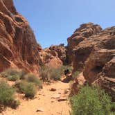 Review photo of Atlatl Rock Campground — Valley of Fire State Park by Deacon J., May 5, 2018
