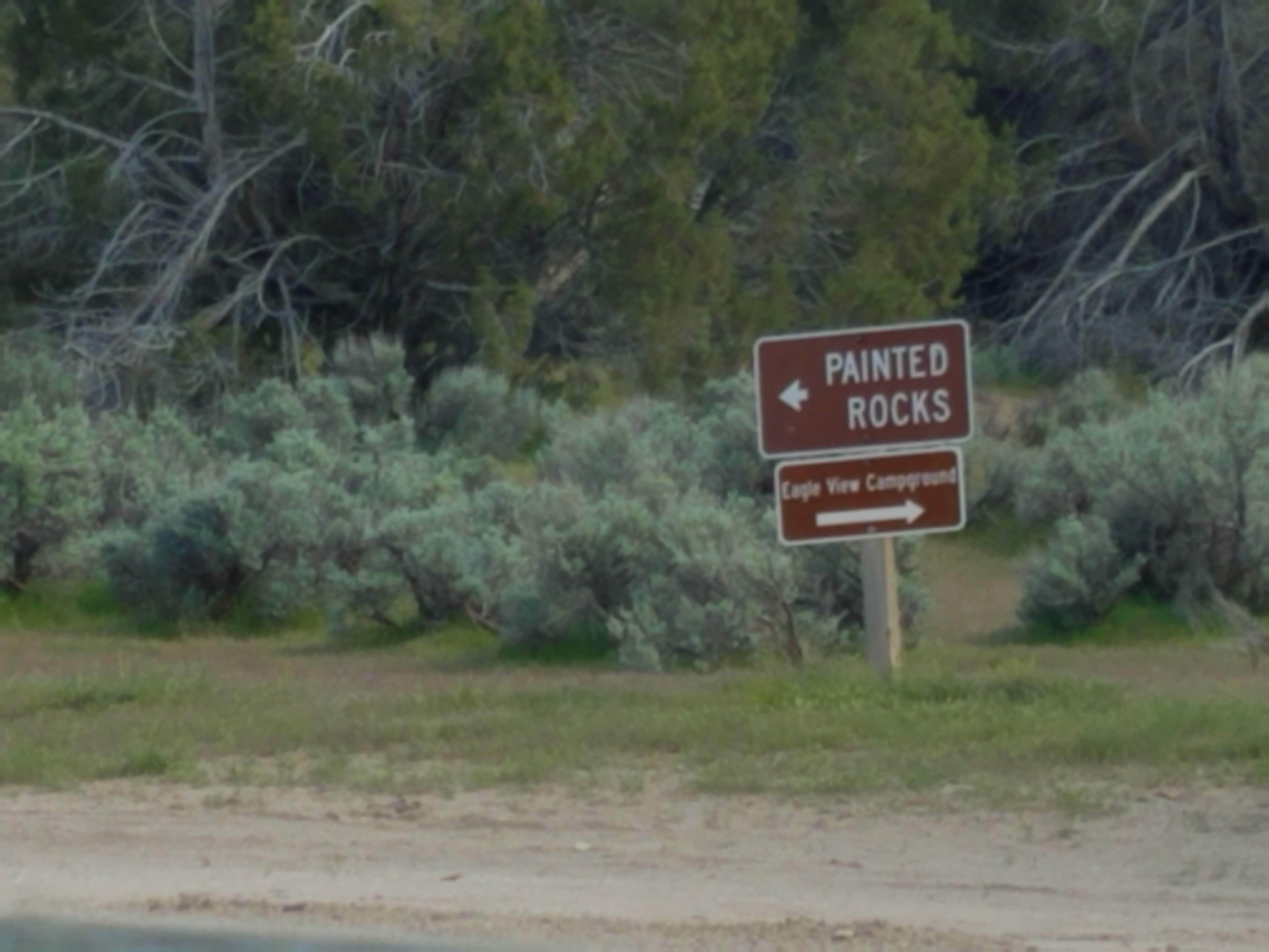 Camper submitted image from Painted Rocks Campground — Yuba State Park - 5