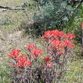 Review photo of Painted Rocks Campground — Yuba State Park by Annell N., August 21, 2020