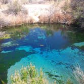 Review photo of Shoshone - Tecopa - Dispersed by Deacon J., May 5, 2018