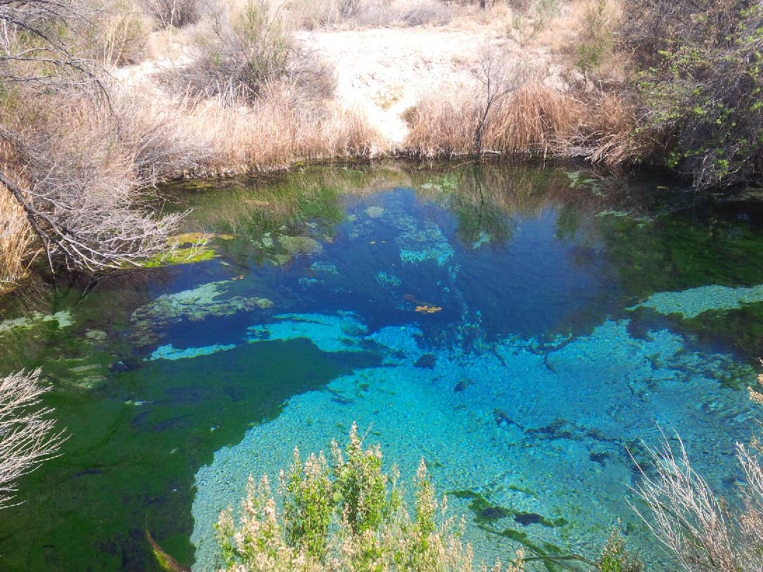Camper submitted image from Shoshone - Tecopa - Dispersed - 5
