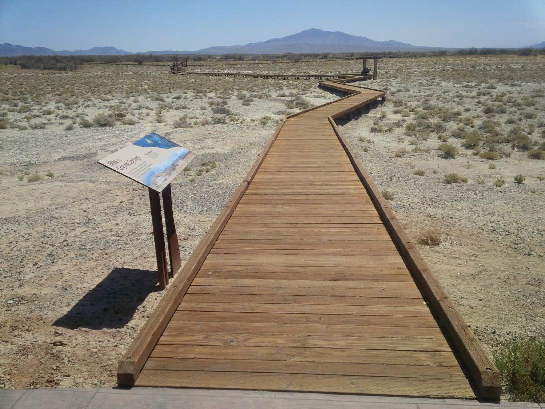 Camper submitted image from Shoshone - Tecopa - Dispersed - 2