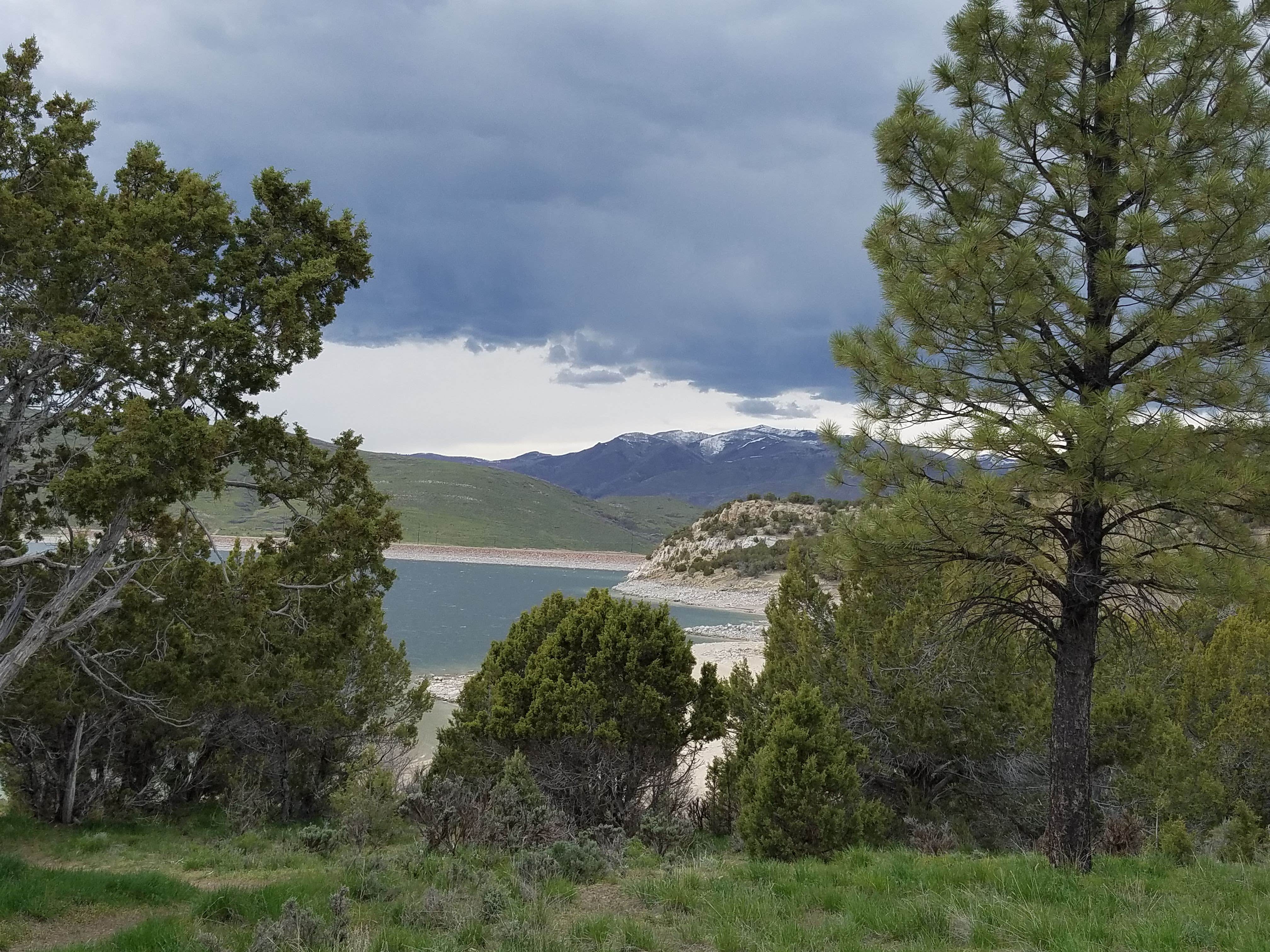 Camper submitted image from Juniper Campground — Rockport State Park - 5