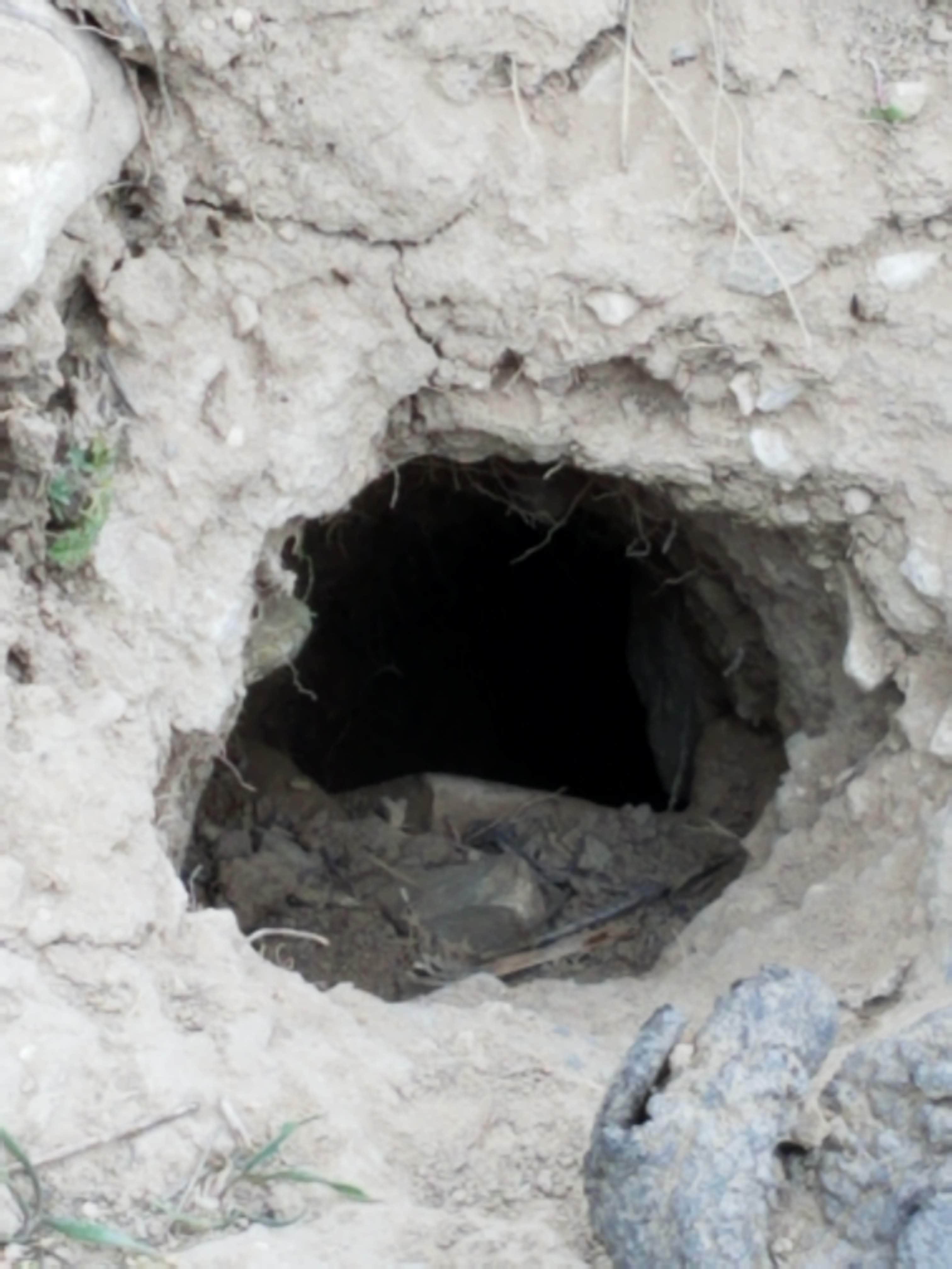 Camping near Weber Crossing Campground: Juniper Campground — Rockport State Park, Wanship, Utah