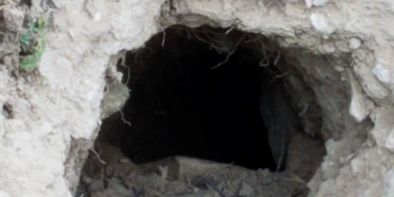 Camper submitted image from Juniper Campground — Rockport State Park