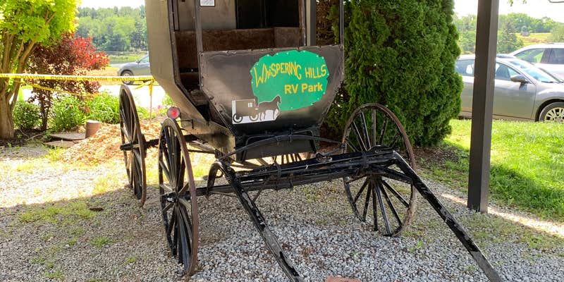 Camper submitted image from Whispering Hills Jellystone RV Park