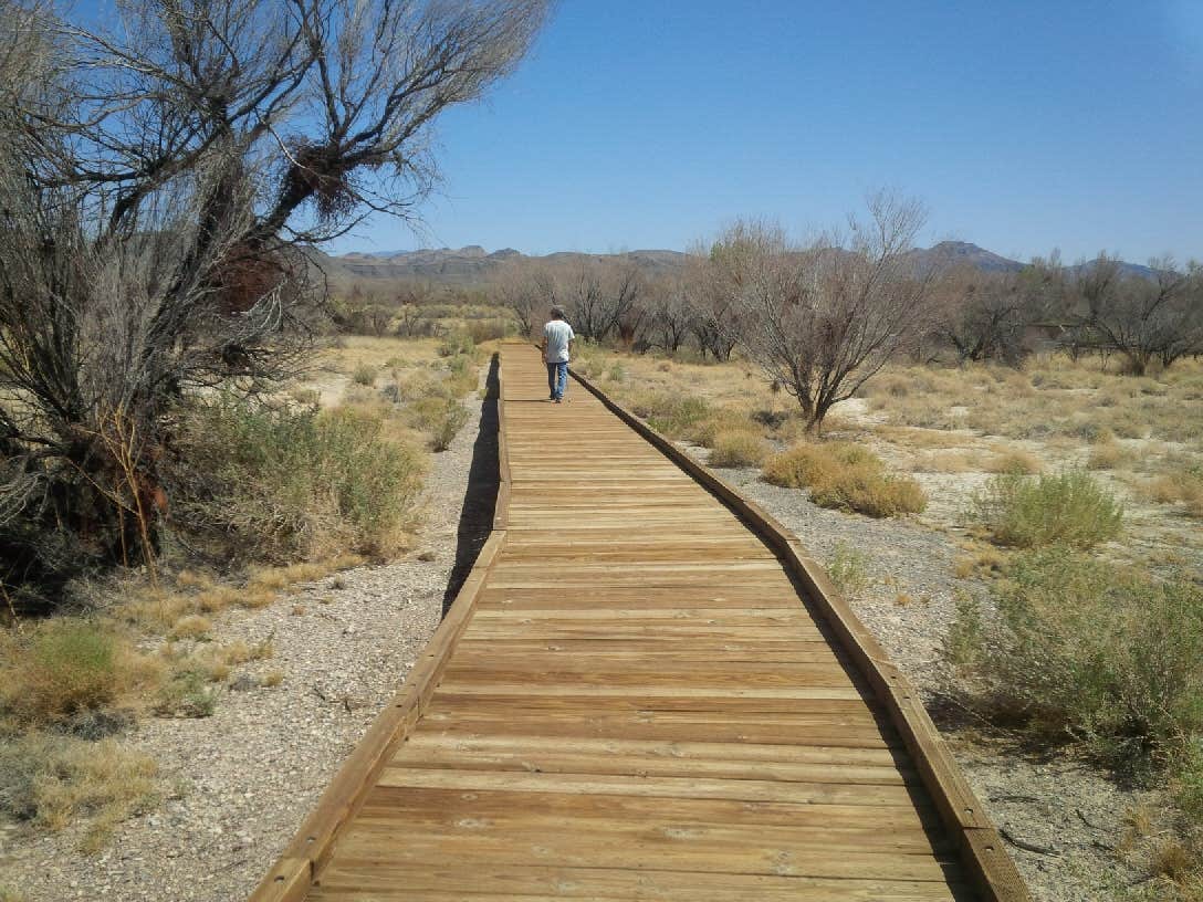 Camper submitted image from Shoshone - Tecopa - Dispersed - 3