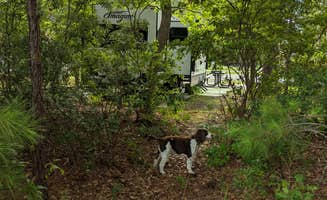 Corby M.'s photo of camping with pets at Military Park Joint Base Charleston Outdoor Recreation Center near Ridgeville, SC