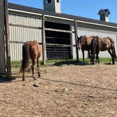 Review photo of Hell Creek Ranch & Campground by Lisa D., August 21, 2020