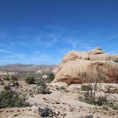Review photo of Cottonwood Campground — Joshua Tree National Park by Elliott B., July 5, 2016