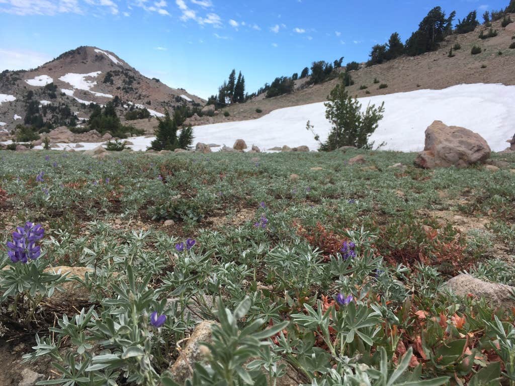 Camper-submitted photo at North Battle Creek Campground near Whitmore, CA