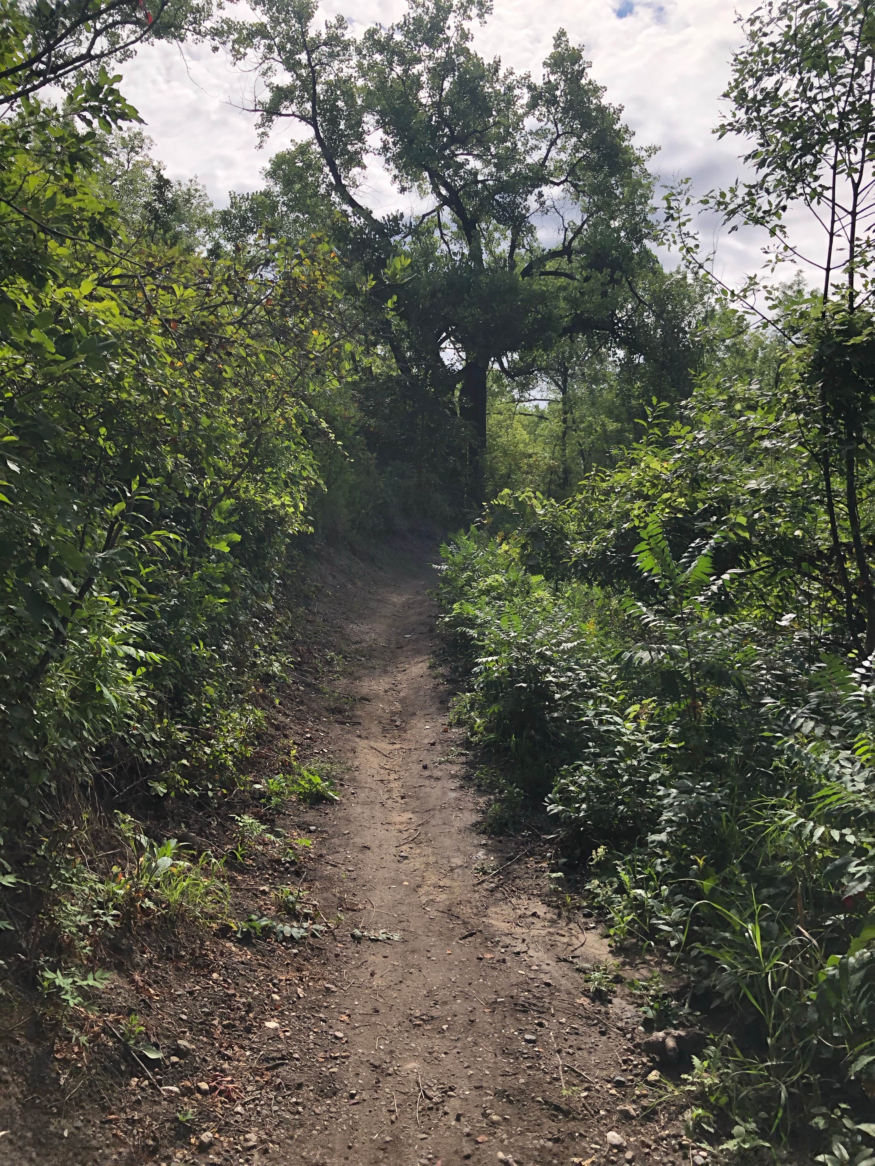 Camper-submitted photo at Turtle River State Park Campground in North Dakota