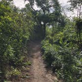 Review photo of Turtle River State Park Campground by Ason S., August 22, 2020