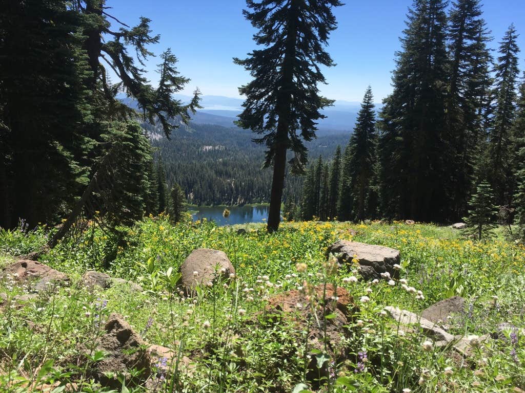 Camper-submitted photo at North Battle Creek Campground near Whitmore, CA