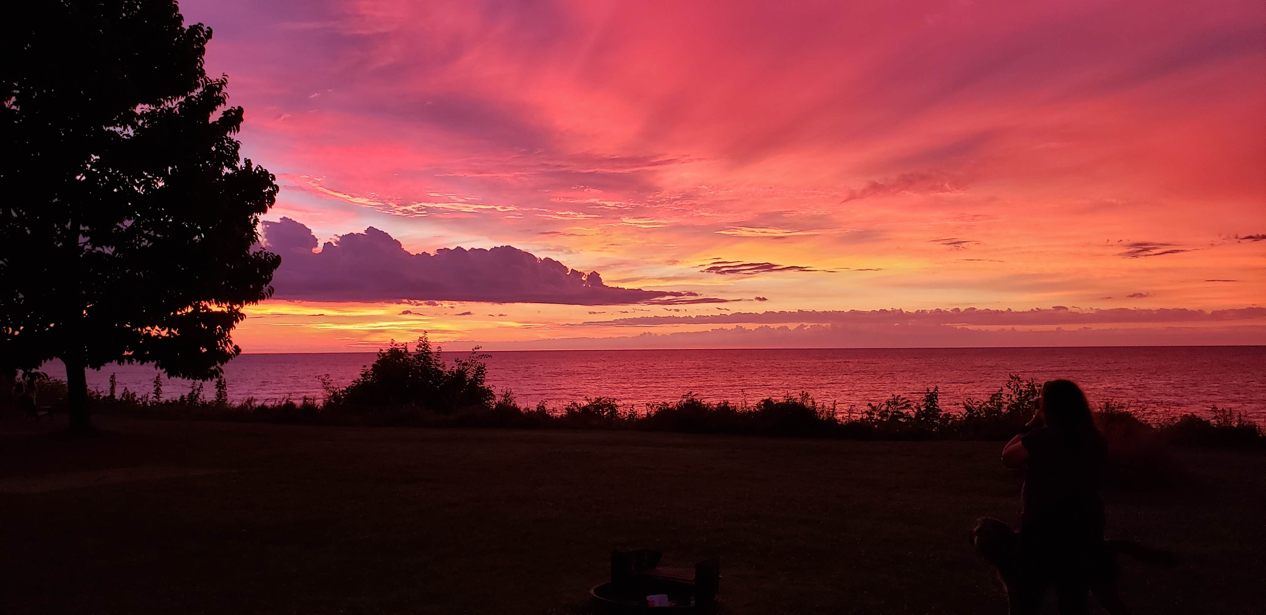 Camper submitted image from Virginia's Beach Campground - 2