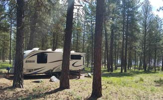 Annell N.'s photo at Union Creek Campground near Sumpter, OR