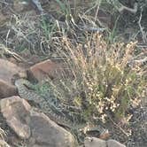 Review photo of Black Mesa State Park Campground by Brian F., August 22, 2020