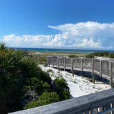 Review photo of Henderson Beach State Park Campground by American Streamer’ S., August 22, 2020