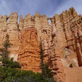 Review photo of North Campground — Bryce Canyon National Park by Michael I., May 5, 2018