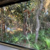 Review photo of Grayton Beach State Park Campground by American Streamer’ S., August 22, 2020